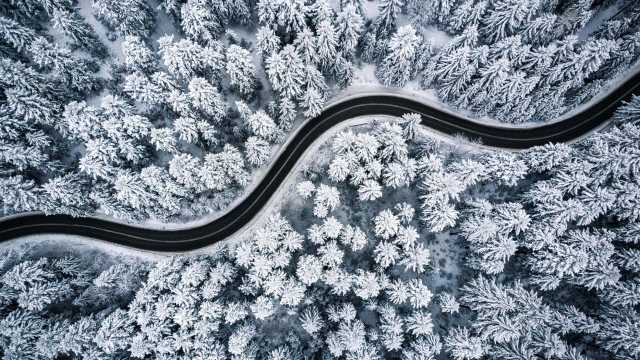 road and snow covered trees