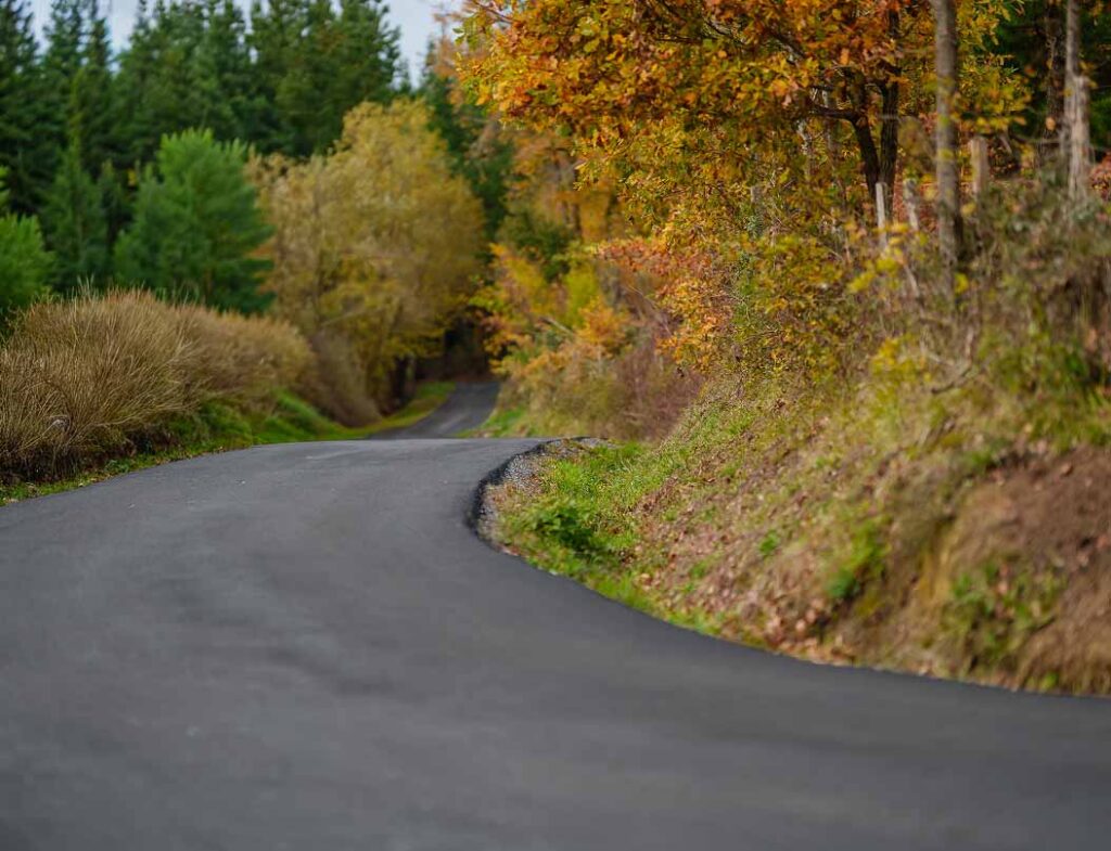 Empty country road
